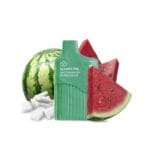 Watermelon Bubblegum Nanovap